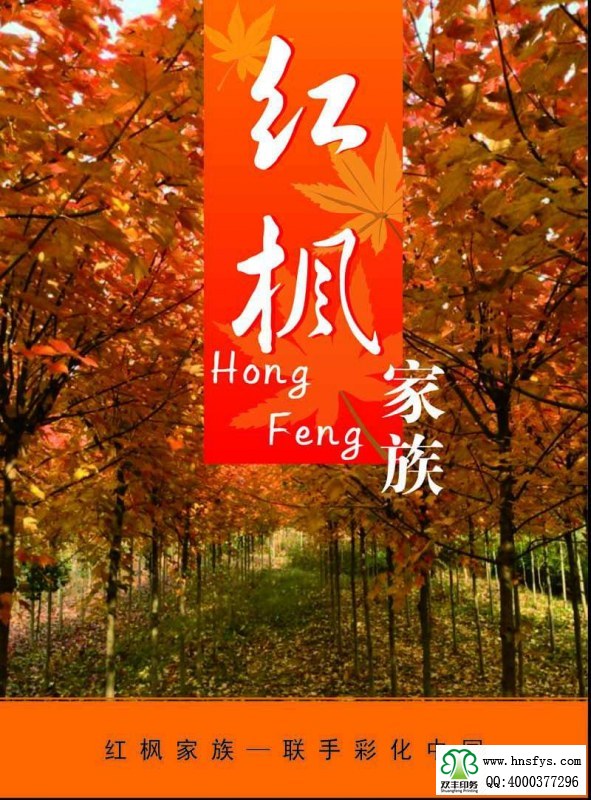 河南印刷廠：紅楓家族 宣傳畫(huà)冊(cè)